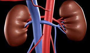 8.000 euros por riñón: Indonesia destapa red de tráfico de órganos que operaba en Camboya