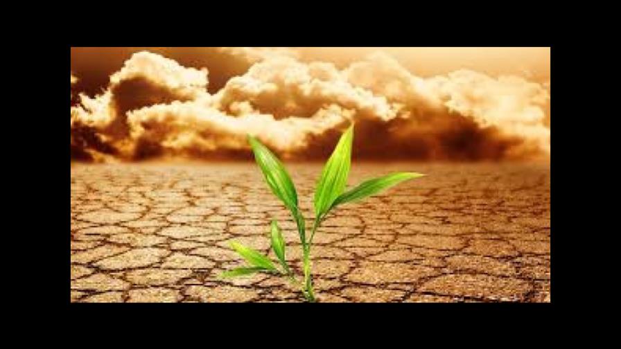 Casi 30% de los proyectos del BID tienen ya componentes de cambio climático Casi 30% de los proyectos del BID tienen ya componentes de cambio climático