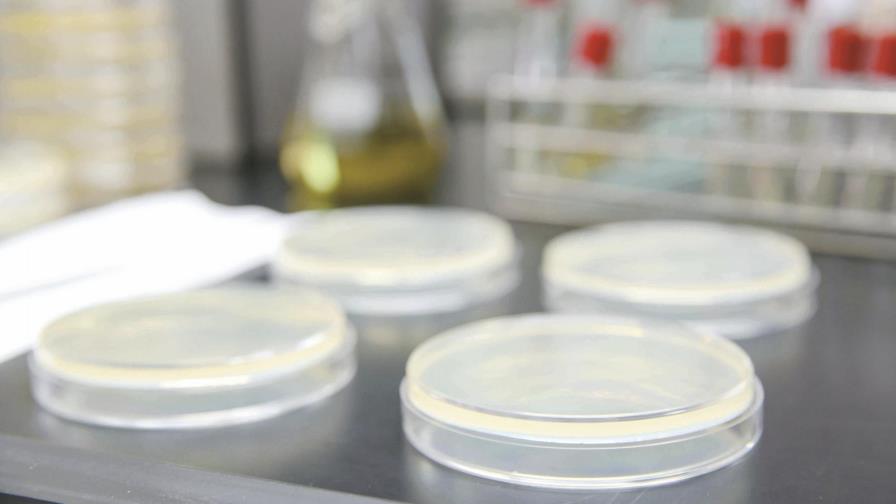 En 2017 han aumentado 10% los casos de tuberculosis en Nueva York