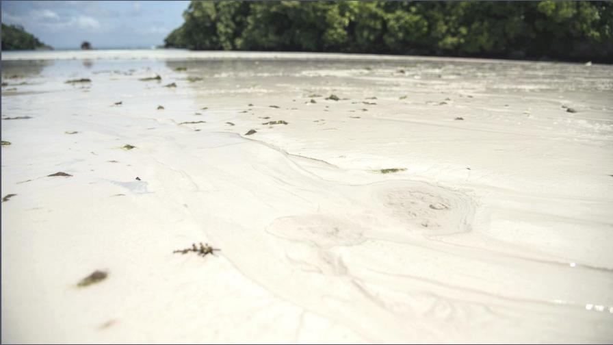 Si queremos playas... ¡salvemos al pez loro!
La sobrepesca, la gran amenaza