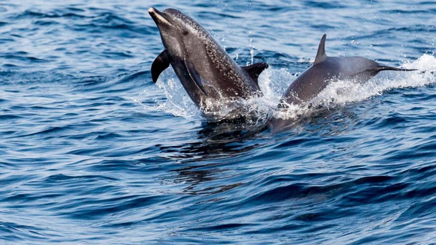  Las Perlas, tesoro turístico de Panamá