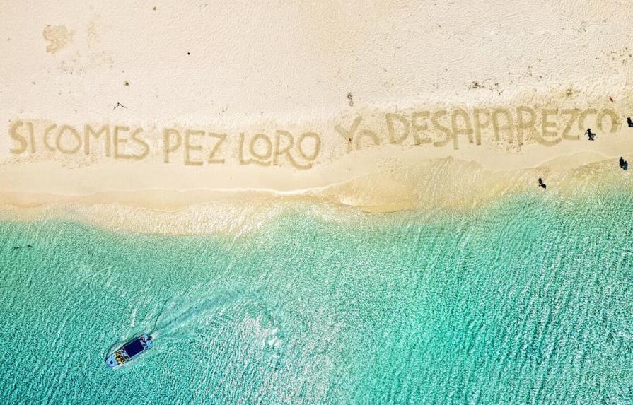 60 playas dominicanas hablan por la preservación del Pez Loro 