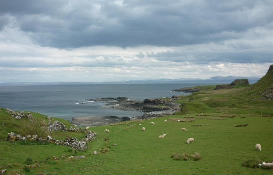 Huellas de dinosaurios en isla escocesa de Skye arrojan luz sobre evolución