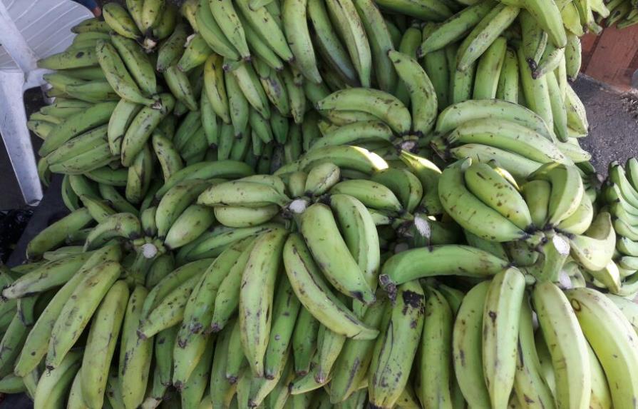 En el país se consumen cerca de seis millones de plátanos diariamente 