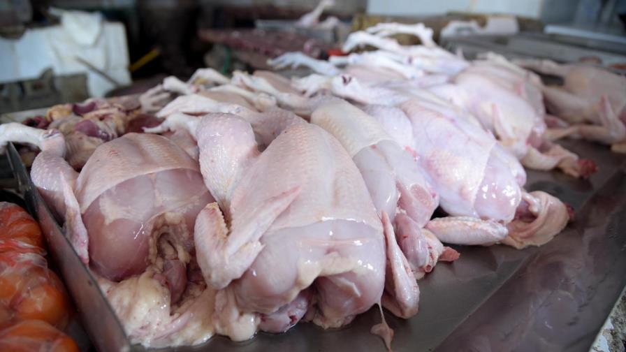 Piden intervención de autoridades ante escasez y aumento en precio del pollo 