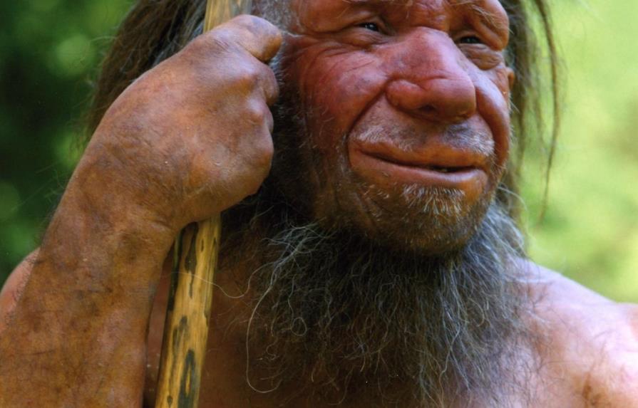 Los neandertales se adaptaron mejor a su entorno por sus caras antiestéticas