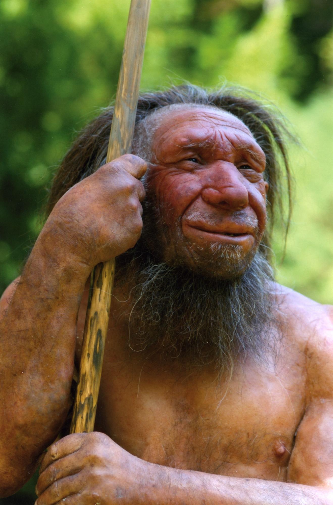 Los neandertales se adaptaron mejor a su entorno por sus caras antiestéticas Los neandertales se adaptaron mejor a su entorno por sus caras antiestéticas