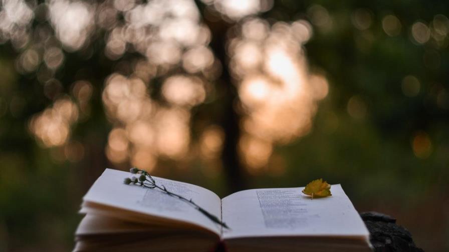 Poemas en tu honor, Gabriela Poemas en tu honor, Gabriela