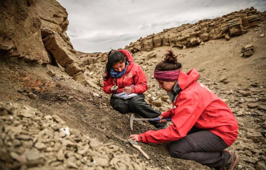 Descubren dinosaurio semiarticulado en la región chilena de Magallanes 