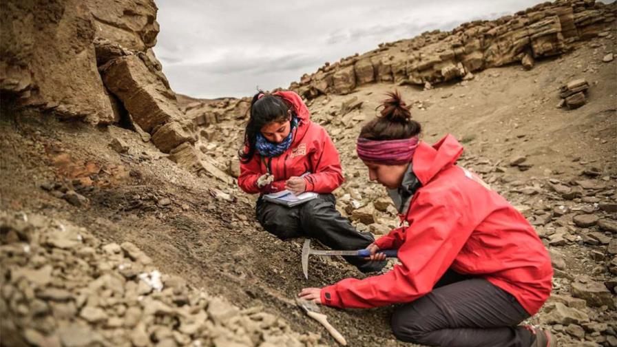Descubren dinosaurio semiarticulado en la región chilena de Magallanes 