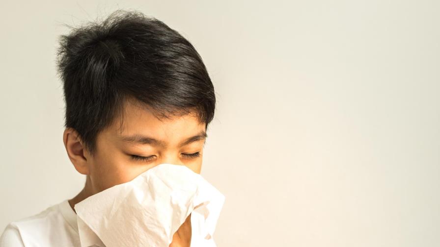 Fundéu BBVA: virus, claves de escritura