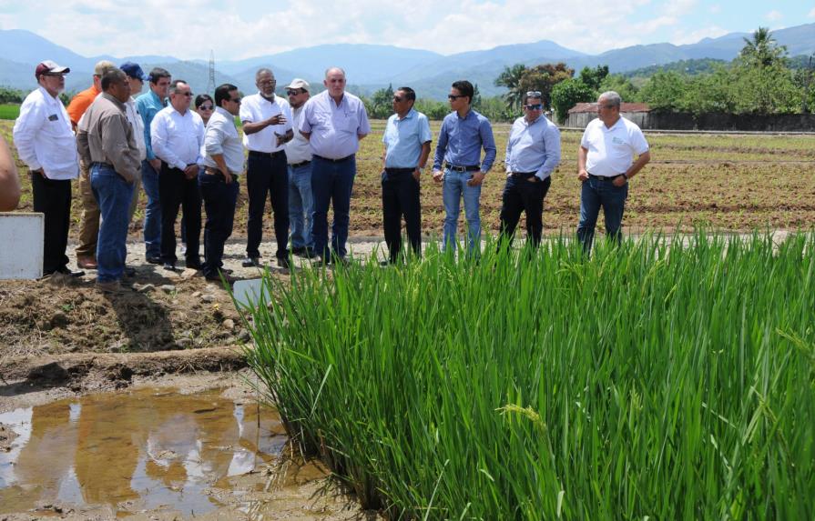 Titular de Agricultura presenta a homólogos centroamericanos avances en uso de tecnología agrícola 