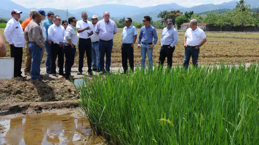 Titular de Agricultura presenta a homólogos centroamericanos avances en uso de tecnología agrícola 