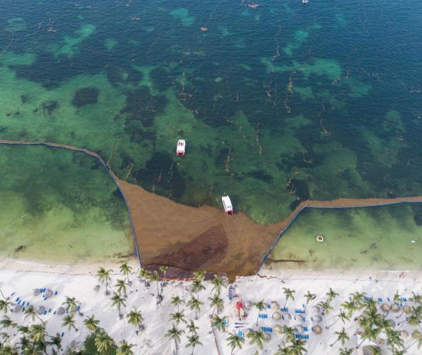 Punta Cana: paraíso turístico que sucumbe a la pérdida de playa y al afán hotelero
