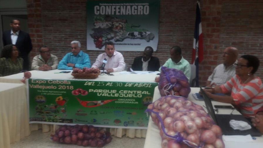 Importaciones de cebollas afectan productores dominicanos 