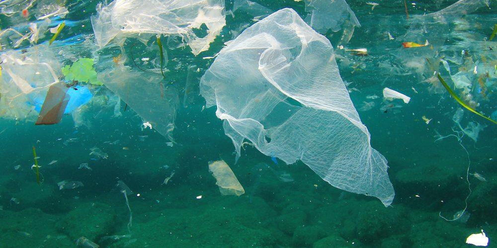 El plástico vertido en el mar provoca la aparición de bacterias 