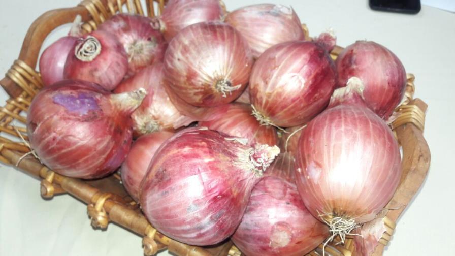 Importaciones amenazan producción de cebolla de República Dominicana Importaciones amenazan producción de cebolla de República Dominicana