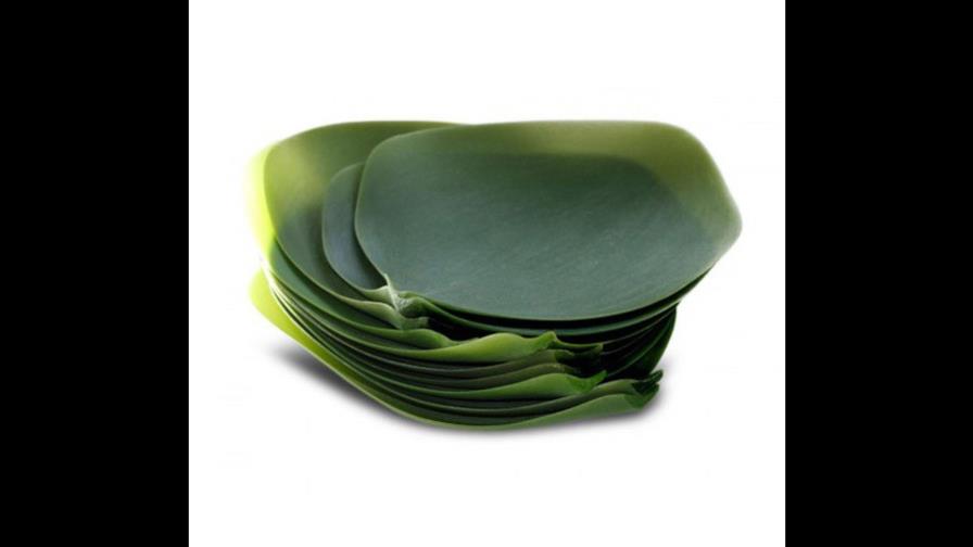 Estudiantes desarrollan platos orgánicos biodegradables Estudiantes desarrollan platos orgánicos biodegradables