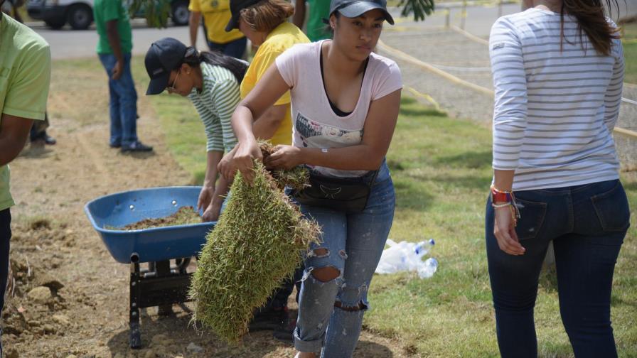 Sembraron árboles en Jardín  Botánico de Santiago