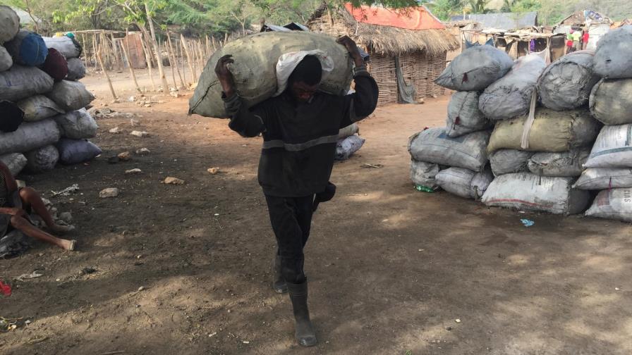 Carbón de leña, el negocio de la vergüenza que genera millones de dólares en Haití y acelera el cambio climático 