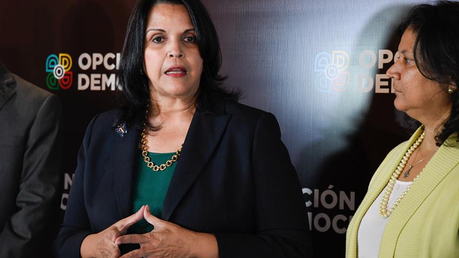 JCE revisará otra vez solicitud de reconocimiento del partido de Minou Tavárez