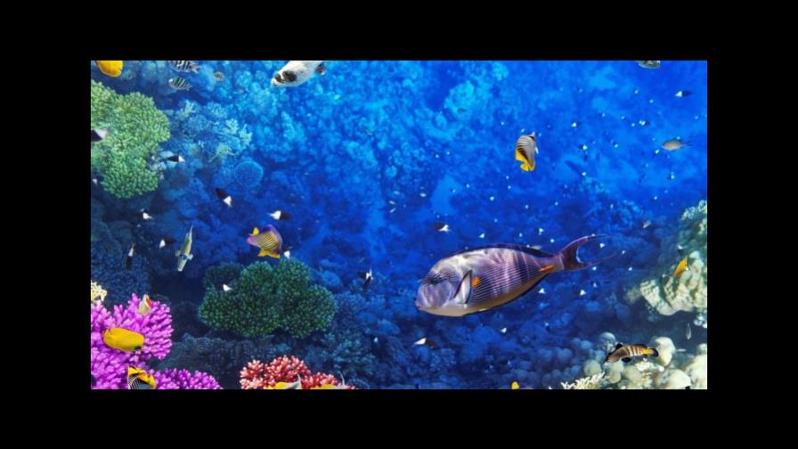 América avanza en áreas naturales protegidas pero debe reforzar sus leyes