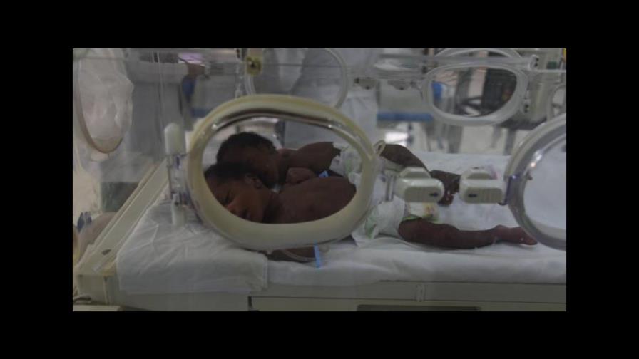 Red Dominicana pide a miembros del sector salud cumplir su rol para reducir muertes en recién nacidos