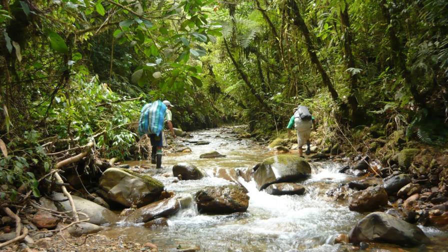 Al Gore asegura que la comunidad latina es decisiva en lucha medioambiental Al Gore asegura que la comunidad latina es decisiva en lucha medioambiental