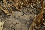 M&aacute;s de la mitad de Inglaterra sufre sequ&iacute;a, seg&uacute;n agencia de medioambiente