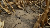 La sequ&iacute;a deja a Puerto Rico contando cada gota