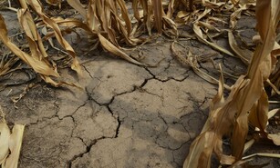 La sequ&iacute;a deja a Puerto Rico contando cada gota