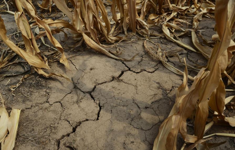 El cambio climático acentuará las sequías en Europa, según estudio