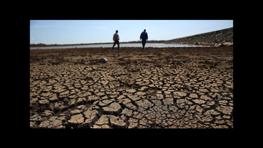 Egipto prohíbe el cultivo de semillas que necesitan mucho riego por la sequía 