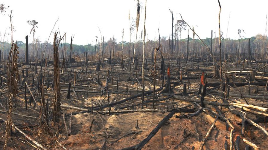 Ministros de América Latina tratarán en Lima recuperación de tierras degradadas