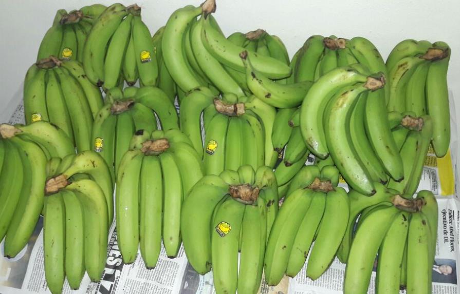República Dominicana exporta 400 mil cajas de banano cada semana