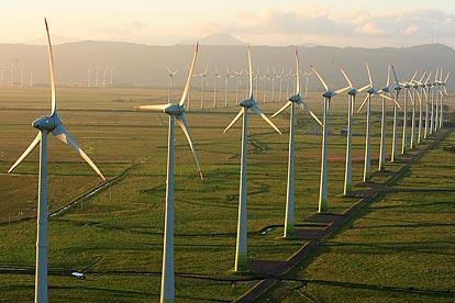 Empresario pide se eliminen incentivos a energías renovables
