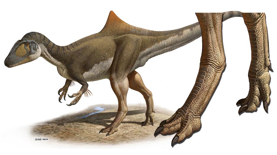 Los dinosaurios depredadores parecidos a aves no competían por sus presas