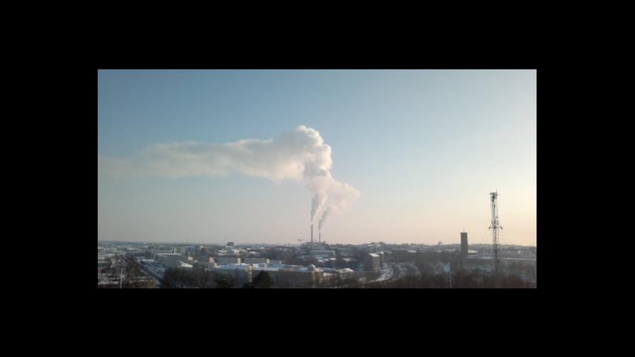 Latinoamérica neutralizaría emisiones si reforesta 250 millones de hectáreas