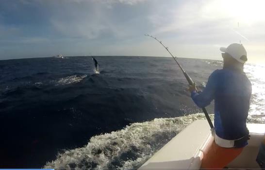 La pesca del Marlin Blanco la dominan lancha Liquid, Muntaner y Náutico San Juan II