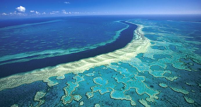 Australia anuncia 313 millones de euros para cuidar la Gran Barrera de Coral