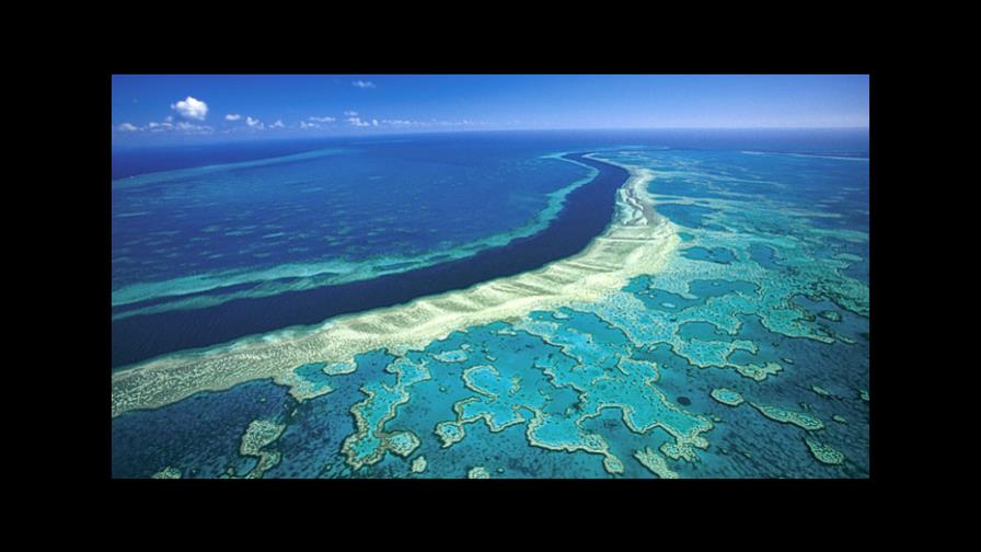 Australia anuncia 313 millones de euros para cuidar la Gran Barrera de Coral