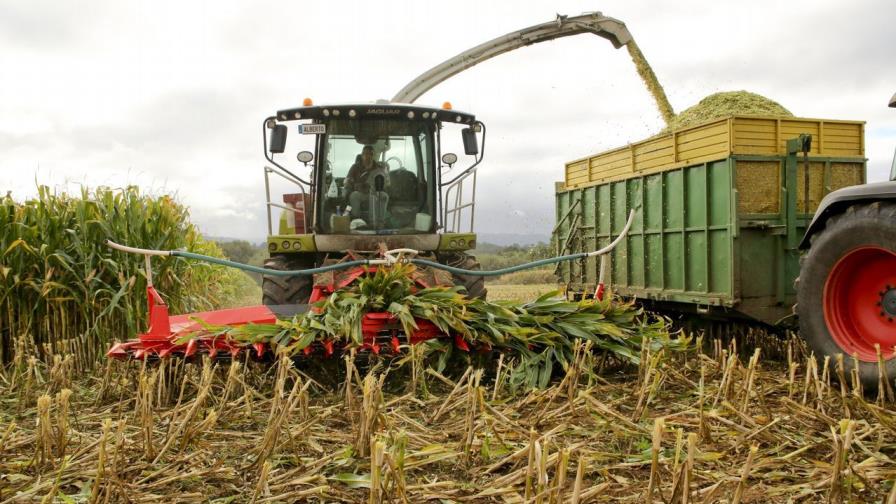Agricultura y ganadería son actividades primarias que más contaminan el agua 