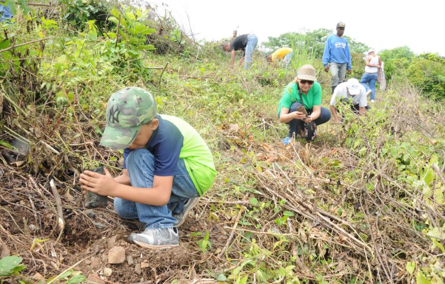 El IDAC celebrará este sábado el Día del Árbol con jornadas de reforestación