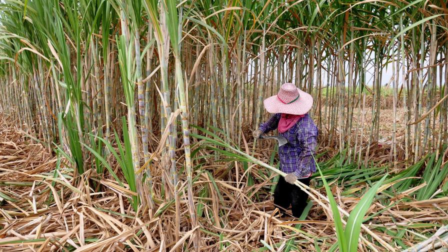 Los tres grandes retos que plantea el cambio climático