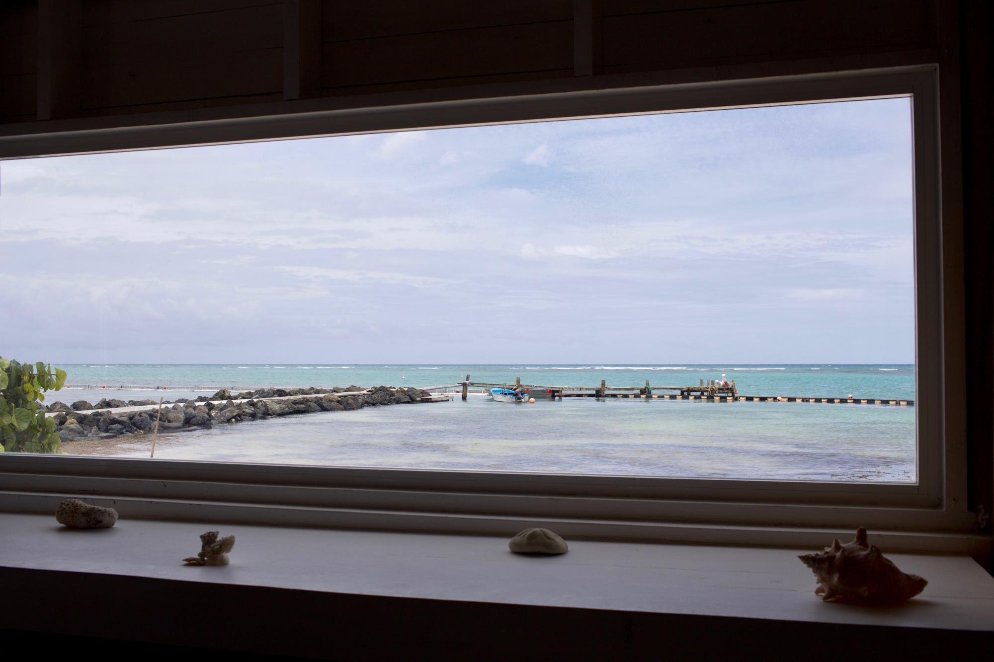 “Las ventanas están hechas para que la gente vea lo que hacemos desde afuera”, aseguró Galván. 