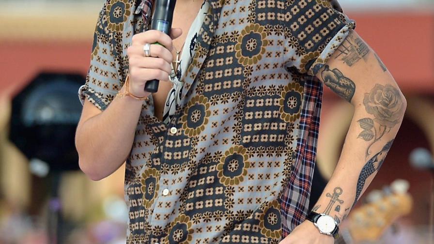Harry Styles producirá una serie sobre su vida