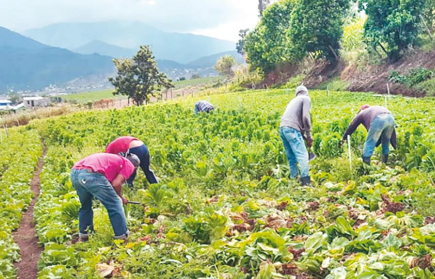 Citan retos próximo gobierno en el sector agropecuario