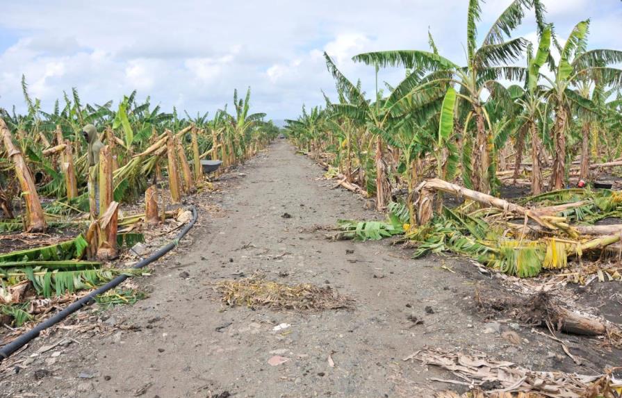 Gobierno auxilia a productores afectados por granizada y tornado en Moca y La Vega 