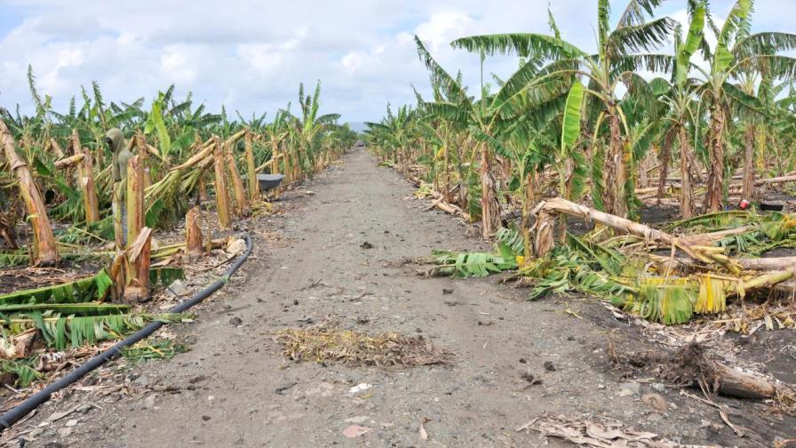 Gobierno auxilia a productores afectados por granizada y tornado en Moca y La Vega 