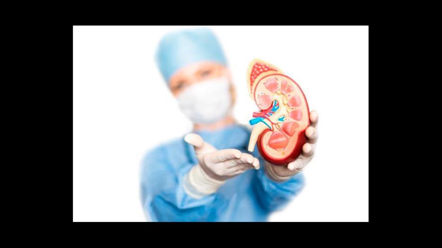 Diabetes e hipertensión son las principales causas de las enfermedades renales